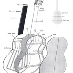 1. The Guitar Construction & Function