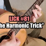 Lick #81