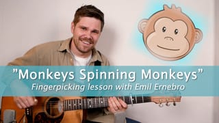 Monkeys Spinning Monkeys